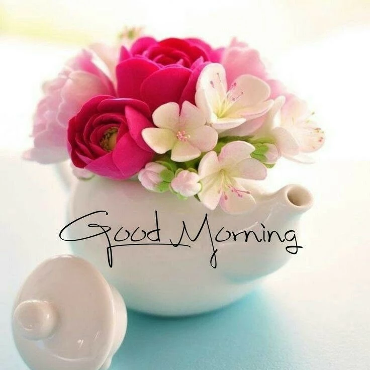 good morning have a nice day