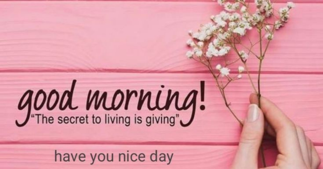 good morning have a nice day