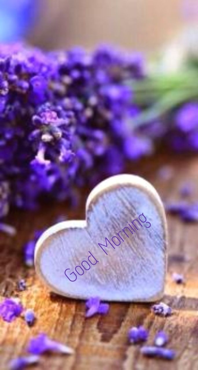 good morning have a nice day