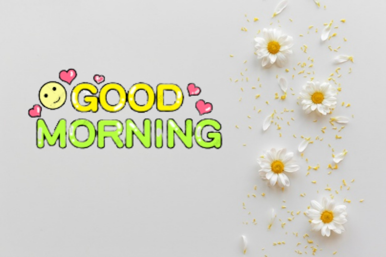 good morning have a nice day