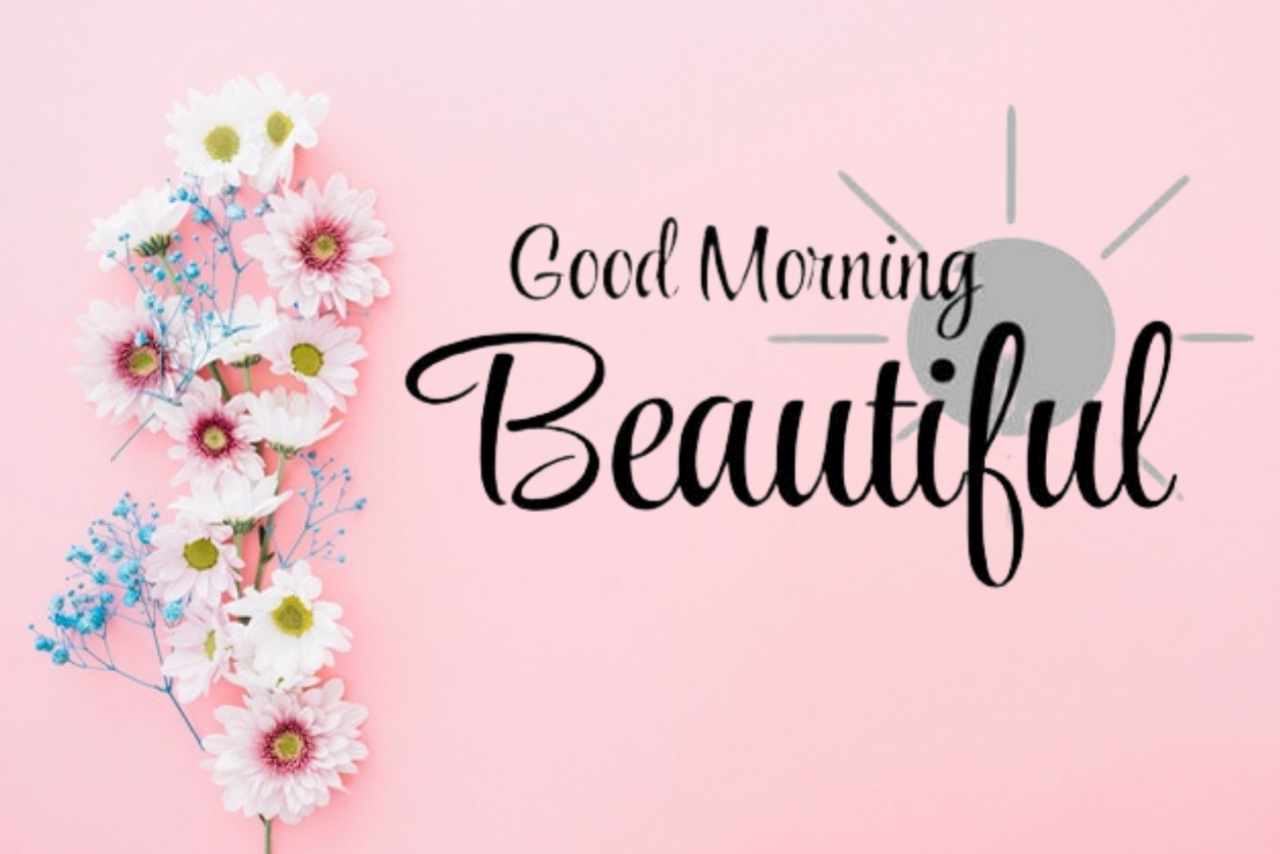 good morning have a nice day