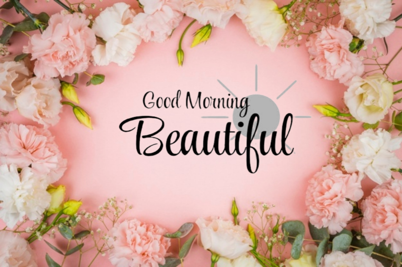 good morning have a nice day