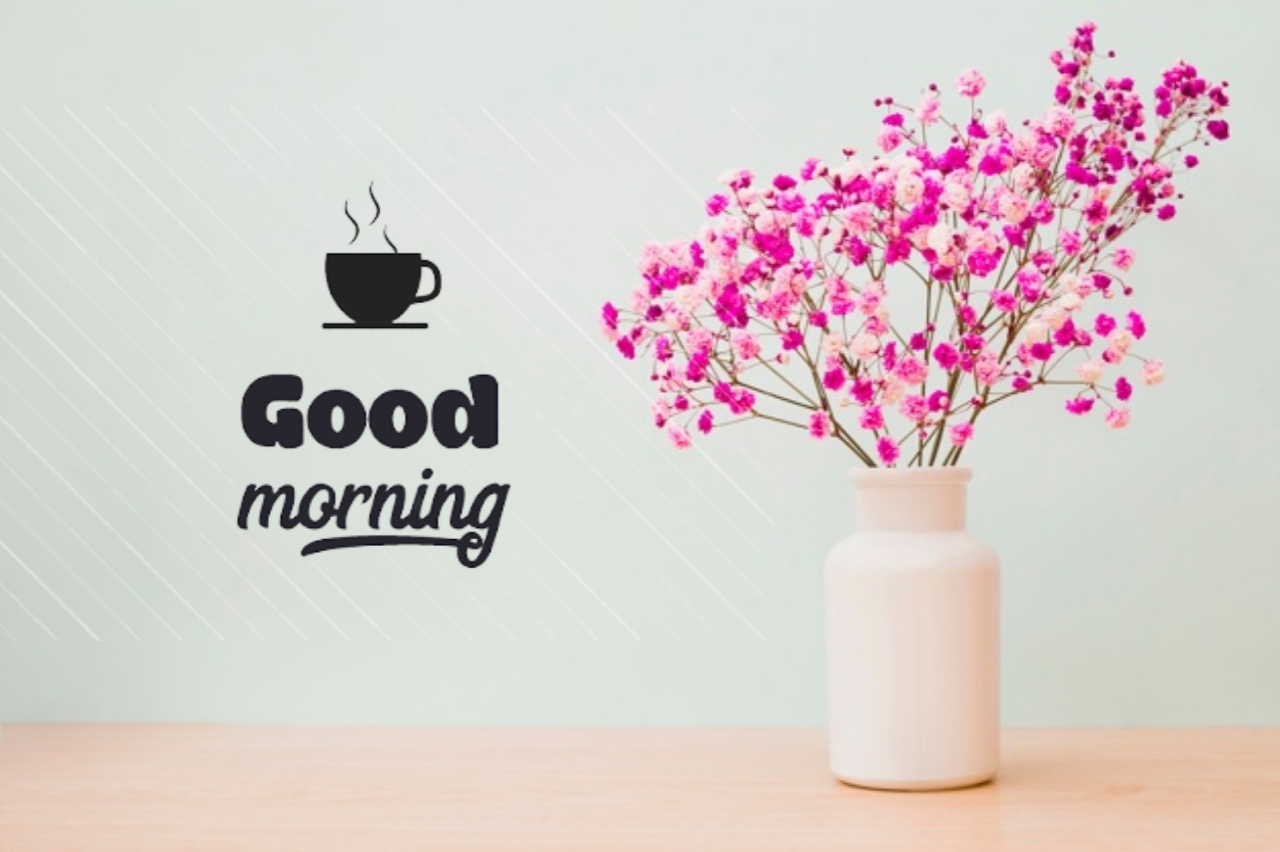 good morning have a nice day