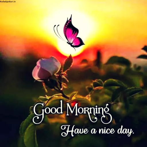 Good Morning Have A Nice Day Pictures Photos Images