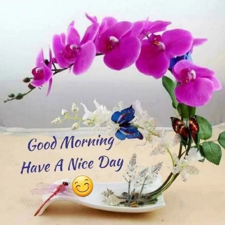 good morning have a nice day
