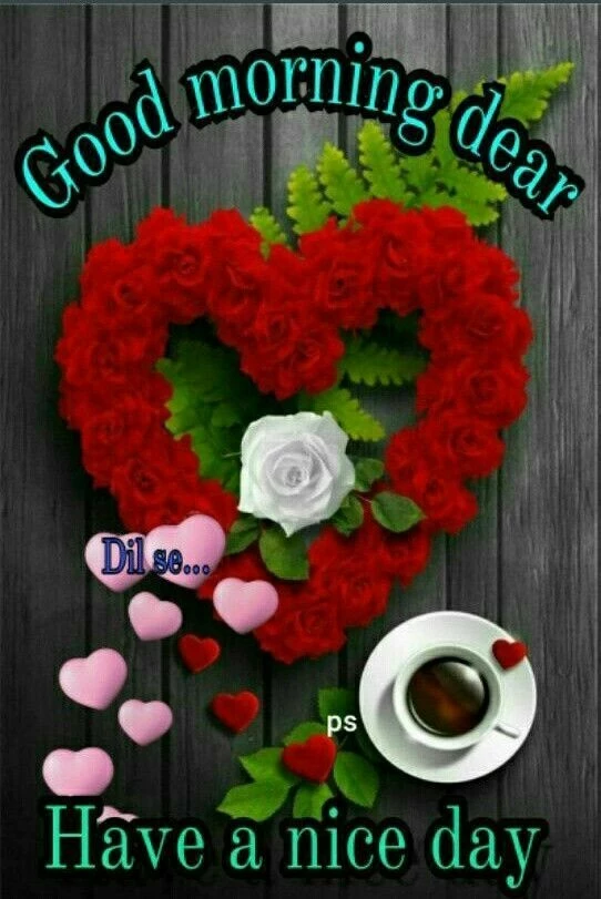 good morning have a nice day