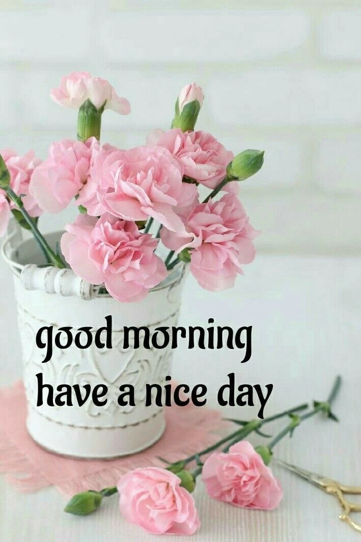good morning have a nice day