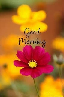 good morning have a nice day