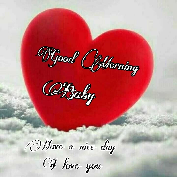 good morning have a nice day