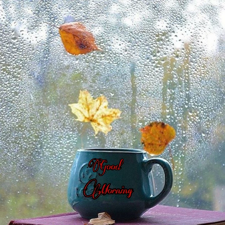 good morning have a nice day