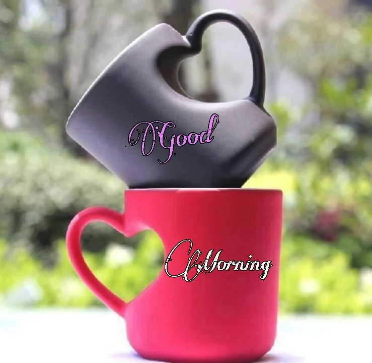 good morning have a nice day