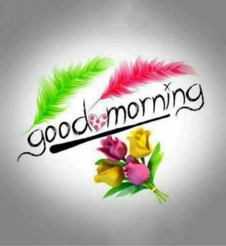 good morning have a nice day