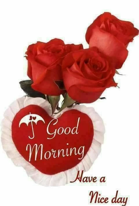 good morning have a nice day