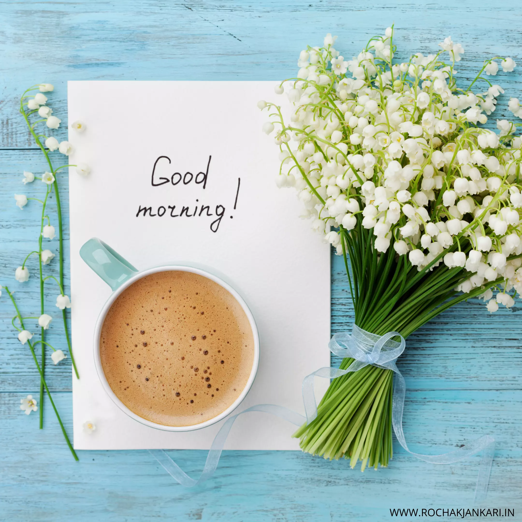 good morning have a nice day