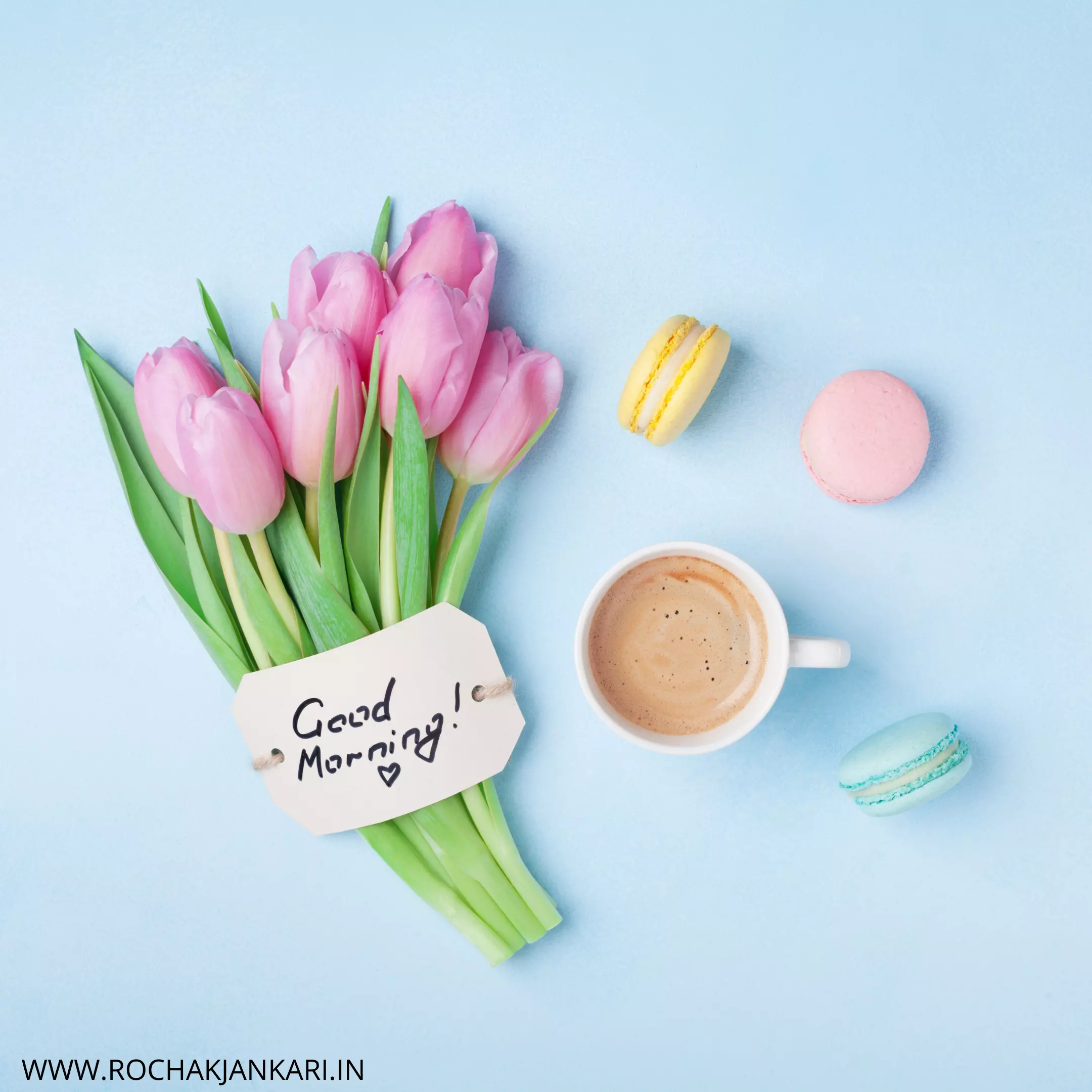 good morning have a nice day