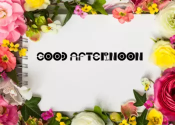 Good Afternoon in Hindi