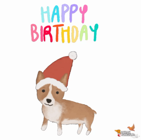 happy birthday dog gif