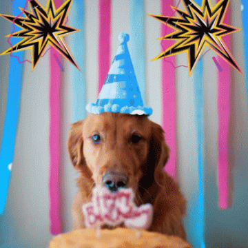 Top 250+ Happy Birthday Dog Gif
